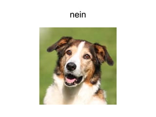 nein
 