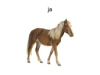 ja
 
