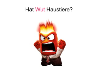 Hat Wut Haustiere?
 