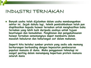 INDUSTRI TERNAKAN 
 Banyak usaha telah dijalankan dalam usaha membangunkan 
sektor ini. Sejak dahulu lagi, teknik pembiakbakaan telah pun 
diaplikasikan kepada haiwan ternakan untuk menghasilkan baka 
ternakan yang lebih baik daripada asalnya untuk tujuan 
keuntungan dan kemudahan. Pengklonan dan pengubahsuaian 
haiwan ternakan sememangnya dapat membantu dalam 
masalah kebuluran dan kekurangan zat dalam makanan. 
Seperti kita ketahui sumber protein yang sedia ada memang 
berkurangan berbanding dengan kepesatan pembesaran 
populasi manusia di dunia. Maka penggunaan teknologi ini 
sangat penting dalam menampung keperluan protein manusia 
seluruh dunia 
 