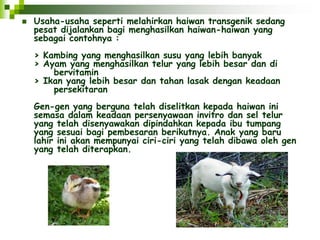  Usaha-usaha seperti melahirkan haiwan transgenik sedang 
pesat dijalankan bagi menghasilkan haiwan-haiwan yang 
sebagai contohnya : 
> Kambing yang menghasilkan susu yang lebih banyak 
> Ayam yang menghasilkan telur yang lebih besar dan di 
bervitamin 
> Ikan yang lebih besar dan tahan lasak dengan keadaan 
persekitaran 
Gen-gen yang berguna telah diselitkan kepada haiwan ini 
semasa dalam keadaan persenyawaan invitro dan sel telur 
yang telah disenyawakan dipindahkan kepada ibu tumpang 
yang sesuai bagi pembesaran berikutnya. Anak yang baru 
lahir ini akan mempunyai ciri-ciri yang telah dibawa oleh gen 
yang telah diterapkan. 
 