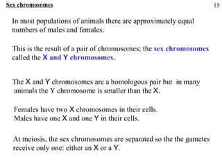Sex chromosomes In most populations of animals there are approximately equal  numbers of males and females. This is the result of a pair of chromosomes; the  sex chromosomes called the   X  and  Y  chromosomes. The  X  and  Y  chromosomes are a homologous pair but  in many animals the Y chromosome is smaller than the  X. Females have two  X  chromosomes in their cells. Males have one  X  and one  Y  in their cells. At meiosis, the sex chromosomes are separated so the the gametes receive only one: either an  X  or a  Y . 15 