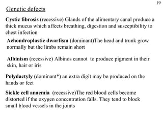 Genetic defects Cystic fibrosis  (recessive) Glands of the alimentary canal produce a  thick mucus which affects breathing, digestion and susceptibility to  chest infection Achondroplastic dwarfism  (dominant)The head and trunk grow  normally but the limbs remain short Albinism  (recessive) Albinos cannot  to produce pigment in their  skin, hair or iris Polydactyly  (dominant*) an extra digit may be produced on the hands or feet Sickle cell anaemia  (recessive)The red blood cells become distorted if the oxygen concentration falls. They tend to block  small blood vessels in the joints 19 