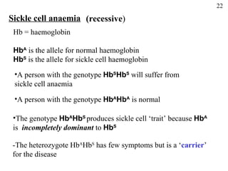 Sickle cell anaemia Hb = haemoglobin Hb A  is the allele for normal haemoglobin Hb S  is the allele for sickle cell haemoglobin A person with the genotype  Hb S Hb S  will suffer from  sickle cell anaemia A person with the genotype  Hb A Hb A  is normal The genotype  Hb A Hb S   produces sickle cell ‘trait’ because  Hb A is  incompletely dominant  to  Hb S -The heterozygote Hb A Hb S  has few symptoms but is a ‘ carrier ’  for the disease (recessive ) 22 