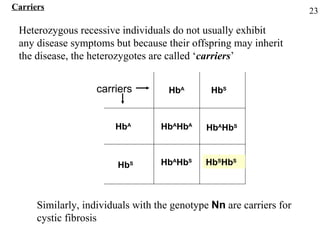 Carriers Heterozygous recessive individuals do not usually exhibit  any disease symptoms but because their offspring may inherit the disease, the heterozygotes are called ‘ carriers ’ Hb A Hb A Hb A Hb A Hb A Hb S Hb A Hb S Hb S Hb S Hb S Hb S carriers Similarly, individuals with the genotype  Nn  are carriers for cystic fibrosis 23 