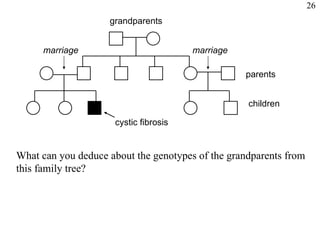 grandparents parents children cystic fibrosis What can you deduce about the genotypes of the grandparents from this family tree? marriage marriage 26 