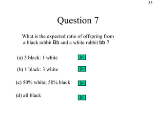Question 7 What is the expected ratio of offspring from a black rabbit  Bb  and a white rabbit  bb ? (c) 50% white; 50% black (a) 3 black: 1 white (b) 1 black: 3 white (d) all black 35 