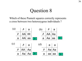 Question 8 Which of these Punnett squares correctly represents a cross between two heterozygous individuals ? AA AA AA aa aa a Aa Aa aa Aa aa aa Aa AA Aa Aa Aa (a) (b) (c) (d) 36 A a A a A a A a A a A a a A a 