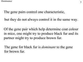 Dominance The gene pairs control one characteristic, but they do not always control it in the same way. Of the gene pair which help determine coat colour in mice, one might try to produce black fur and its  partner might try to produce brown fur. The gene for black fur is  dominant  to the gene for brown fur.   3 