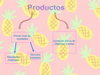 Primer nivel de
resultados
Resultados
materiales
Servicios
prestados
Condición previa de
Objetivos y metas
 