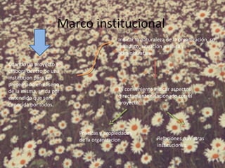 Marco institucional
Cuando un proyecto se
elabora dentro de una
institucion para ser
presentado en el seno
de la misma, se da por
entendido que sera
conocida por todos.
Indicar la naturaleza de la organización, su
mandato, situación jurídica y
administrativa.
Es conveniente indicar aspectos
directamente relacionado con el
proyecto.
Politicas y propiedades
de la organizacion Relaciones con otras
instituciones.
 