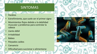 • Parálisis
• Estreñimiento, que suele ser el primer signo
• Movimientos flojos debido a la debilidad
muscular y problemas para controlar la
cabeza
• Llanto débil
• Irritabilidad
• Babeo
• Párpados caídos
• Cansancio
• Dificultad para succionar o alimentarse
SINTOMAS
 