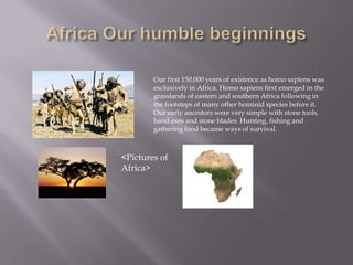 Africa Our humble beginnings Our first 150,000 years of existence as homo sapiens was exclusively in Africa. Homo sapiens first emerged in the grasslands of eastern and southern Africa following in the footsteps of many other hominid species before it. Our early ancestors were very simple with stone tools, hand axes and stone blades. Hunting, fishing and gathering food became ways of survival. <Pictures of Africa>