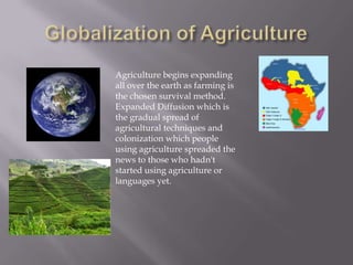 Globalization of AgricultureAgriculture begins expanding all over the earth as farming is the chosen survival method. Expanded Diffusion which is the gradual spread of agricultural techniques and colonization which people using agriculture spreaded the news to those who hadn't started using agriculture or languages yet.  