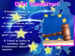 Dret Comunitari:
-  El Parlament Europeu, és
      l'órgan de control i
col·laboració normativa.

- El Consell, órgan de decisions i
de creació normativa.

- La Comissió, és un órgan de
gestió i execució.

- El Tribunal de Justícia de
      Luxemburg, órgan
d'interpretació i aplicació del   dret
comunitari.
 