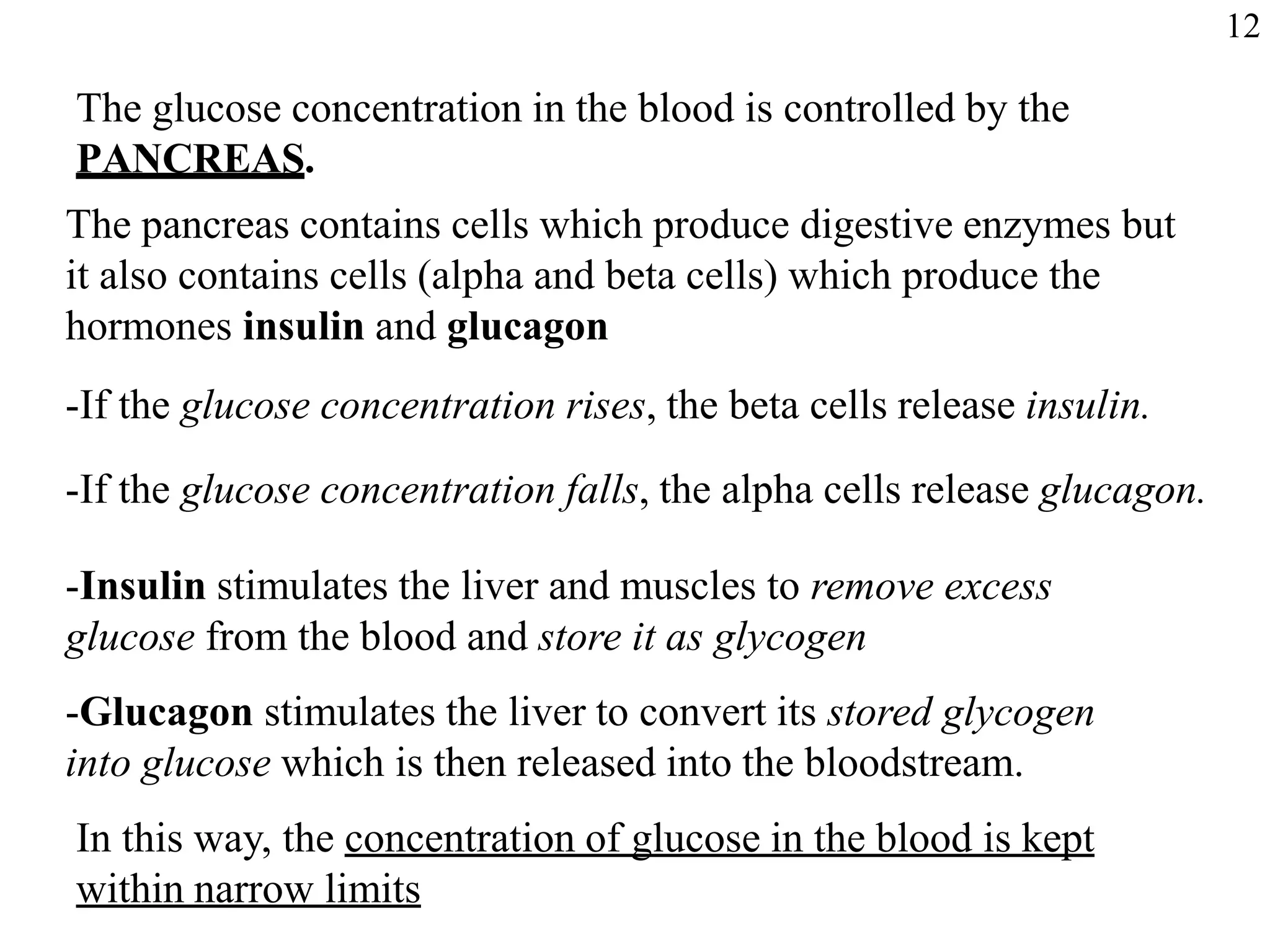 The glucose concentration in the blood is controlled by the
PANCREAS.
The pancreas contains cells which produce digestive enzymes but
it also contains cells (alpha and beta cells) which produce the
hormones insulin and glucagon
-If the glucose concentration rises, the beta cells release insulin.
-If the glucose concentration falls, the alpha cells release glucagon.
-Insulin stimulates the liver and muscles to remove excess
glucose from the blood and store it as glycogen
-Glucagon stimulates the liver to convert its stored glycogen
into glucose which is then released into the bloodstream.
In this way, the concentration of glucose in the blood is kept
within narrow limits
12
 