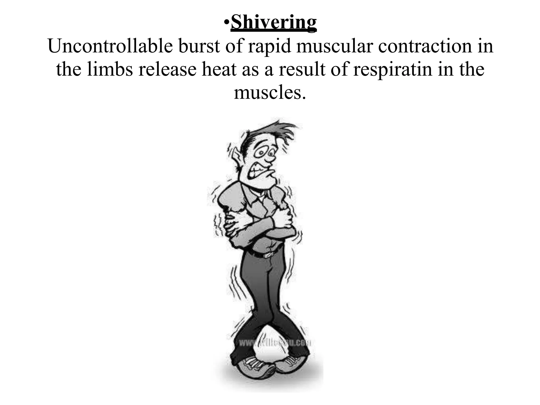 •Shivering
Uncontrollable burst of rapid muscular contraction in
the limbs release heat as a result of respiratin in the
muscles.
 