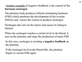 -Another example of negative feedback is the control of the
hormone oestrogen
The pituitary body produces follicle-stimulating hormone
(FSH) which promotes the development of the ovarian
follicles and causes the ovaries to produce oestrogen
Oestrogen also acts on the uterus and causes its lining to
thicken
When the oestrogen reaches a certain level in the blood, it
acts on the pituitary and stops the production of more FSH
In this case, oestrogen is exerting a negative feedback on
the pituitary
If the oestrogen level in the blood falls, the pituitary
begins to secrete FSH again
14
 