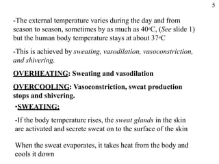 -The external temperature varies during the day and from
season to season, sometimes by as much as 40oC, (See slide 1)
but the human body temperature stays at about 37oC
-This is achieved by sweating, vasodilation, vasoconstriction,
and shivering.
OVERHEATING: Sweating and vasodilation
OVERCOOLING: Vasoconstriction, sweat production
stops and shivering.
•SWEATING:
-If the body temperature rises, the sweat glands in the skin
are activated and secrete sweat on to the surface of the skin
When the sweat evaporates, it takes heat from the body and
cools it down
5
 