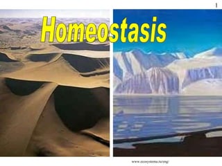 Homeostasis www.ecosystema.ru/eng/ 1 