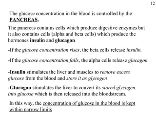 The glucose concentration in the blood is controlled by the  PANCREAS . The pancreas contains cells which produce digestive enzymes but it also contains cells (alpha and beta cells) which produce the hormones  insulin  and  glucagon -If the  glucose concentration rises , the beta cells release  insulin. -If the  glucose concentration falls , the alpha cells release  glucagon. - Insulin  stimulates the liver and muscles to  remove excess  glucose  from the blood and  store it as glycogen - Glucagon  stimulates the liver to convert its  stored glycogen into   glucose  which is then released into the bloodstream. 12 In this way, the  concentration of glucose in the blood is kept within narrow limits 