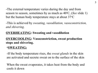 -The external temperature varies during the day and from season to season, sometimes by as much as 40 o C, ( See  slide 1) but the human body temperature stays at about 37 o C -This is achieved by  sweating, vasodilation, vasoconstriction, and shivering. OVERHEATING : Sweating and vasodilation OVERCOOLING : Vasoconstriction, sweat production stops and shivering. SWEATING: -If the body temperature rises, the  sweat glands  in the skin are activated and secrete sweat on to the surface of the skin When the sweat evaporates, it takes heat from the body and cools it down 5 