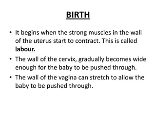 BIRTH
• It begins when the strong muscles in the wall
of the uterus start to contract. This is called
labour.
• The wall of the cervix, gradually becomes wide
enough for the baby to be pushed through.
• The wall of the vagina can stretch to allow the
baby to be pushed through.
 