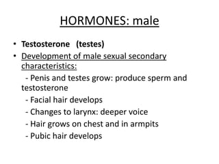 HORMONES: male
• Testosterone (testes)
• Development of male sexual secondary
characteristics:
- Penis and testes grow: produce sperm and
testosterone
- Facial hair develops
- Changes to larynx: deeper voice
- Hair grows on chest and in armpits
- Pubic hair develops
 