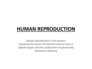 HUMAN REPRODUCTION
Sexual reproduction is the process
involving the fusion of haploid nuclei to form a
diploid zygote and the production of genetically
dissimilar offspring
 