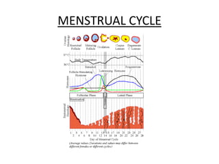 MENSTRUAL CYCLE
 