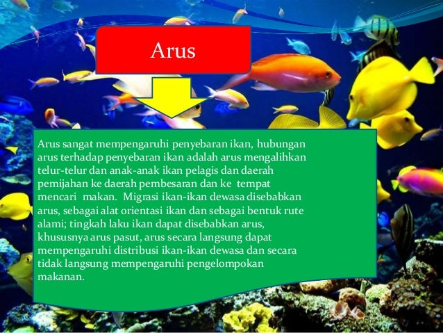 Makanan Dan Pertumbuhan Pada Ikan