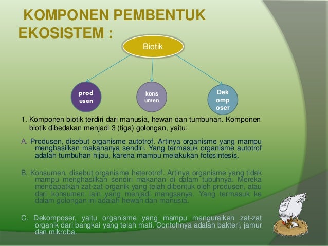 Contoh Faktor Ekosistem - Contoh Siar
