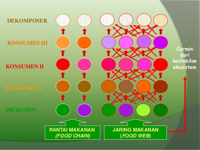 Keseimbangan Ekosistem Power point ilmu lingkungan