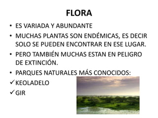 FLORA
• ES VARIADA Y ABUNDANTE
• MUCHAS PLANTAS SON ENDÉMICAS, ES DECIR
SOLO SE PUEDEN ENCONTRAR EN ESE LUGAR.
• PERO TAMBIÉN MUCHAS ESTAN EN PELIGRO
DE EXTINCIÓN.
• PARQUES NATURALES MÁS CONOCIDOS:
KEOLADELO
GIR
 