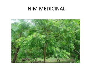 NIM MEDICINAL
 