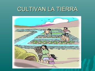 CULTIVAN LA TIERRA