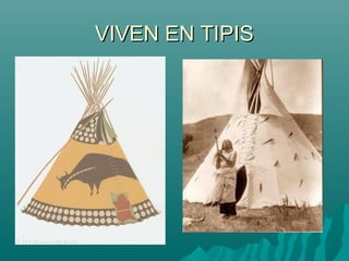 VIVEN EN TIPIS