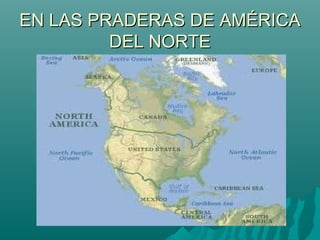 EN LAS PRADERAS DE AMÉRICA
DEL NORTE