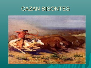 CAZAN BISONTES