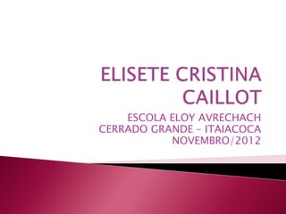 ESCOLA ELOY AVRECHACH
CERRADO GRANDE – ITAIACOCA
           NOVEMBRO/2012
 