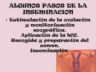 ALGUNOS PASOS DE LA
    INSEMINACION
• Estimulación de la ovulación
       y monitorización
          ecográfica.
      Aplicación de la hCG.
  Recogida y preparación del
            semen.
         Inseminación.
 