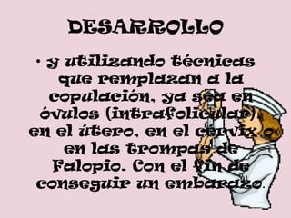 DESARROLLO
 • y utilizando técnicas
    que remplazan a la
   copulación, ya sea en
  óvulos (intrafolicular),
en el útero, en el cérvix o
     en las trompas de
   Falopio. Con el fin de
 conseguir un embarazo.
 