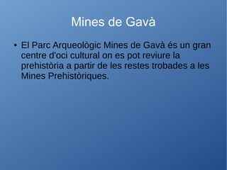 Mines de Gavà
● El Parc Arqueològic Mines de Gavà és un gran
centre d'oci cultural on es pot reviure la
prehistòria a partir de les restes trobades a les
Mines Prehistòriques.
 