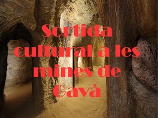 Sortida
cultural a les
mines de
Gavà
 