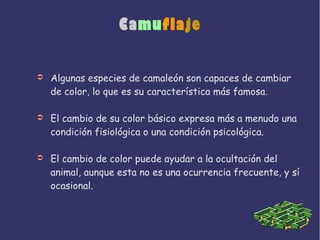 Camuflaje
➲ Algunas especies de camaleón son capaces de cambiar
de color, lo que es su característica más famosa.
➲ El cambio de su color básico expresa más a menudo una
condición fisiológica o una condición psicológica.
➲ El cambio de color puede ayudar a la ocultación del
animal, aunque esta no es una ocurrencia frecuente, y sí
ocasional.
 