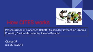 How CITES works
Presentazione di Francesco Bellotti, Alessio Di Giovacchino, Andrea
Fornetto, Davide Mazzatenta, Alessio Paradisi
Classe 3F
a.s. 2017/2018
 