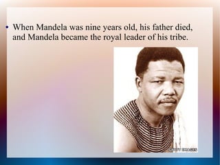 ● When Mandela was nine years old, his father died,
and Mandela became the royal leader of his tribe.
 