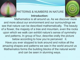 PATTERNS & NUMBERS IN NATURE
Introduction:
Mathematics is all around us. As we discover more
and more about our environment and our surroundings we
see that nature can be described mathematically. The beauty
of a flower, the majesty of a tree and mountain, even the rocks
upon which we walk can exhibit nature’s sense of symmetry
and patterns. In group of four, describe orally the picture
below according to how you’re perceived it.
Have you ever stopped to look around and notice all the
amazing shapes and patterns we see in the world around us
Mathematics forms the building blocks of the natural world
and can be seen in stunning ways.
 