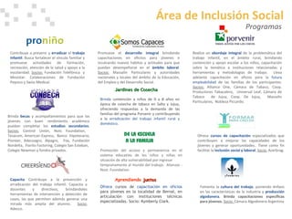 Realiza un  abordaje integral  de la problemática del trabajo infantil, en el ámbito rural, brindando contención y apoyo escolar a los niños, capacitación sobre la temática a instituciones relacionadas y herramientas y metodologías de trabajo.  Lleva adelante capacitación en oficios para la  futura empleabilidad  de las familias de los participantes.  Socios:  Alliance One, Cámara de Tabaco, Coop. Productores Tabacalero,  Universal Leaf, Cámara de Tabaco  de Jujuy, Coop. De Jujuy,  Massalin Particulares,  Nobleza Piccardo.  Ofrece  cursos de capacitación  especializados que contribuyen a mejorar las capacidades de los jóvenes y generar oportunidades.. Tiene como fin facilitar la  inclusión social   y laboral .  Socio:  Acerbrag. Ofrece  cursos de  capacitación en oficios  para jóvenes en la localidad de Bernal, en articulación con instituciones técnicas especializadas. Socio: Kymberly Clark.  Brinda  contención a niños de 0 a 8 años en época de cosecha de tabaco en Salta y Jujuy, ofreciendo respuestas a la demanda de las familias del programa Porvenir y contribuyendo a la  erradicación del trabajo infantil rural y doméstico . Promueve el  desarrollo integral  brindando capacitaciones en oficiios para jóvenes e inculcando nuevos hábitos y actitudes para que puedan desempeñarse en el  ámbito laboral .  Socios:  Massalin Particulares y autoridades nacionales y locales del ámbito de la Educación, del Empleo y del Desarrollo Social. Fomenta la  cultura del trabajo , poniendo énfasis en las características de la industria y  producción algodonera . Brinda capacitaciones específicas para jóvenes.  Socio:  Cámara Algodonera Argentina Capacita   Contribuye a la prevención y erradicación del trabajo infantil. Capacita a docentes y directivos, brindándoles herramientas de intervención y detección de casos, las que permiten además generar una mirada más amplia del alumno.  Socio:  Adecco. Brinda  becas  y acompañamientos para que los jóvenes con buen rendimiento académico puedan completar los  estudios secundarios .  Socios:  Control Unión, Nots Foundation,  Tesacom, American Express,  Banco  Hipotecario, Pioneer, Adecoagro, Alpagro,  Fox, Fundación Nordelta,  Fiorito Factoring, Colegio San Esteban,  Colegio Newman y fondos privados.  Contribuye a prevenir y   erradicar   el  trabajo infantil . Busca fortalecer el vínculo familiar y promueve actividades de formación, recreación, atención de la salud y apoyo a la escolaridad.  Socios:  Fundación Telefónica  y Movistar. Colaboraciones de Fundación Pepsico y Swiss Medical. Programas Área de Inclusión Social Aprendiendo  juntos Jardines de Cosecha Promoción del acceso y permanencia en el sistema educativo de los niños y niñas en situación de alta vulnerabilidad por ingresar tempranamente al mundo del trabajo.  Alianzas : Nost. Foundation. 