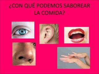 ¿CON QUÉ PODEMOS SABOREAR
LA COMIDA?
 